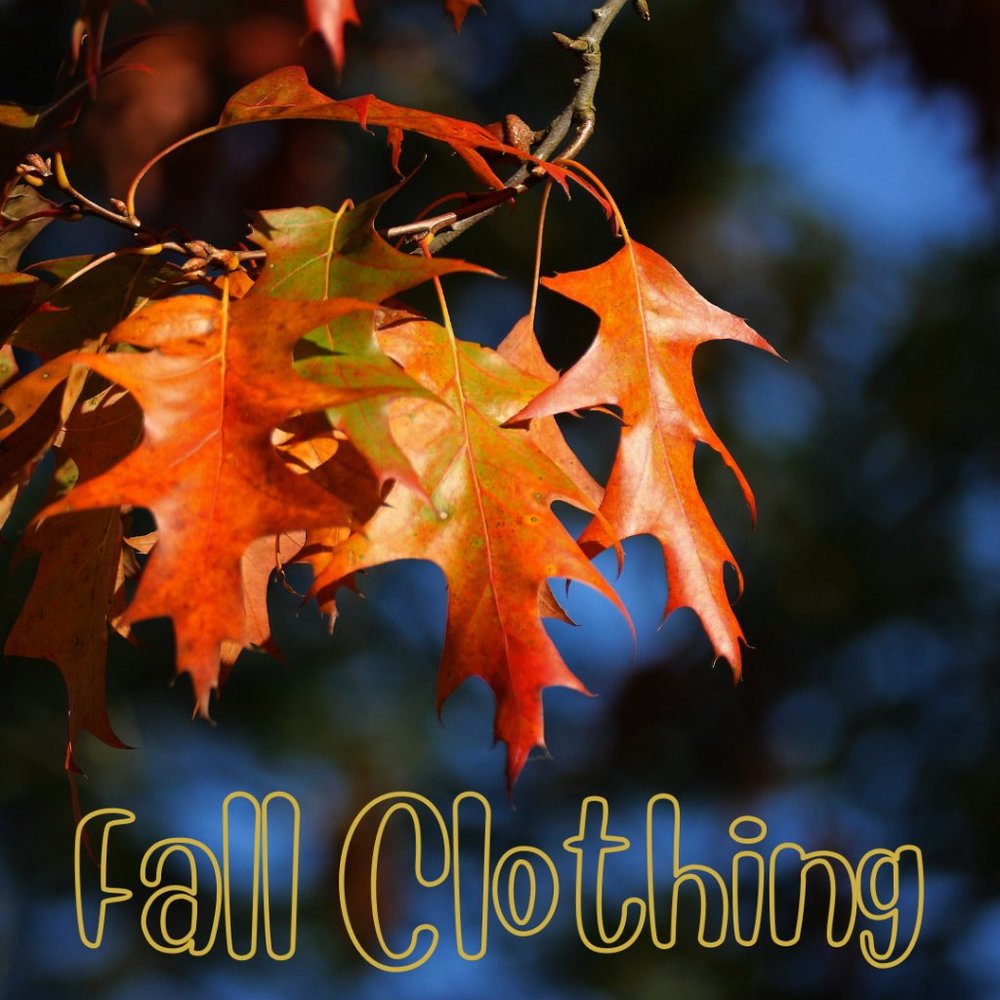 Fall / Autumn fashion